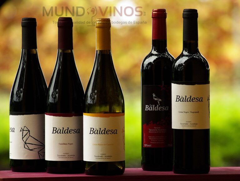 Nuevos vinos de Bodega La Baldesa
