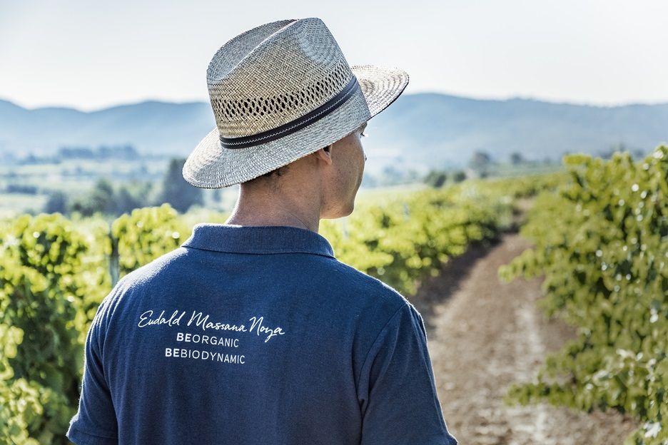 La bodega del Penedès Eudald Massana Noya consigue el sello SAFE TRAVELS con propuestas enoturisticas adaptadas a la crisis del COVID-19