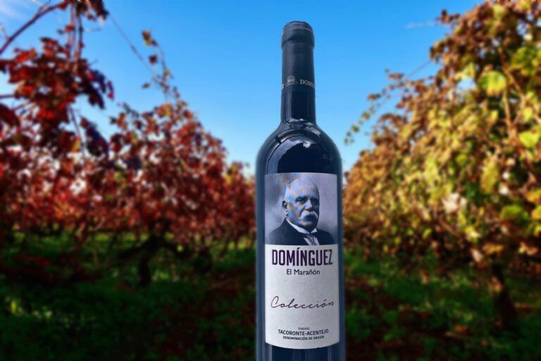 Domínguez colección El Marañon