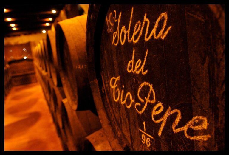 ¿Qué regalar por el día del padre? ¿Una corbata o un curso online de vinos de Jerez «Sherrymaster by Tío Pepe??