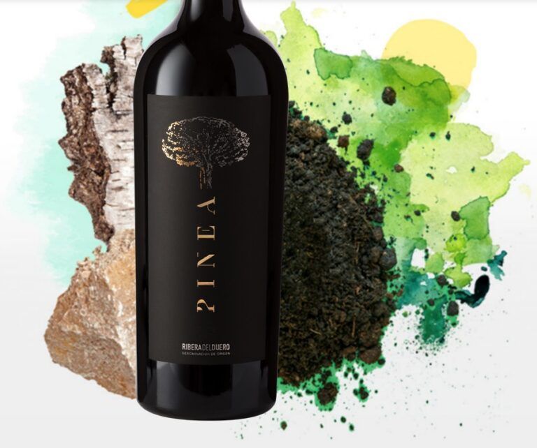 Los de PINEA son vinos que se hacen viñedo a viñedo, cepa a cepa, racimo a racimo.