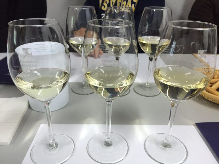 Taller de Iniciación a la cata de vinos en Bodega Linaje del Pago