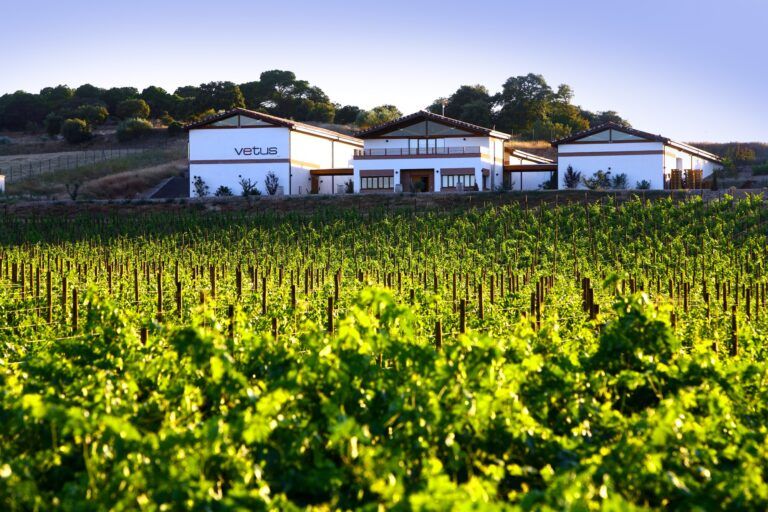 Bodega Vetus, premio a la Mejor Empresa Sostenible