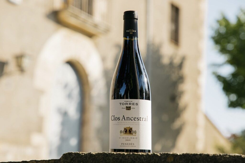 Familia Torres incorpora la variedad recuperada moneu en su nuevo vino Clos Ancestral 2019