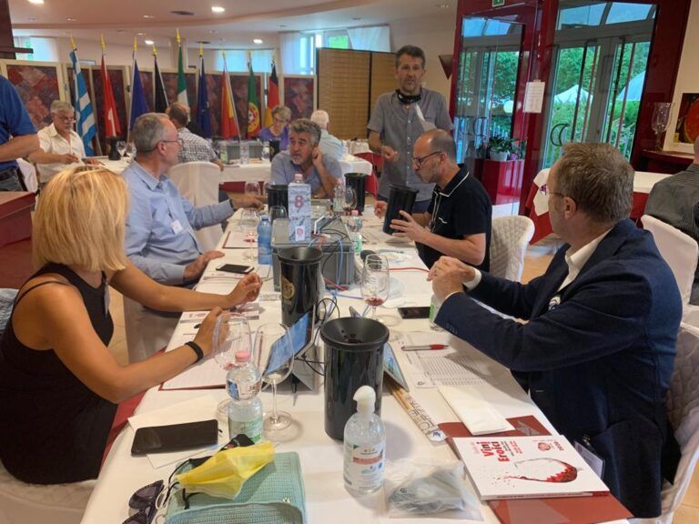 La Denominación de Origen Ribeira Sacra participa con 53 muestras en Llega el Concurso Internacional “Mondial des Vins Extremes”(Italia)