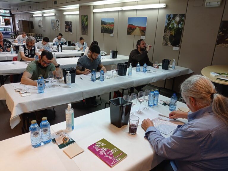 Distinciones Gallaecia 2021 para los vinos de la D.O. Ribeira Sacra