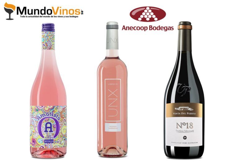 Bruselas premia la calidad de los vinos de Anecoop con 9 medallas de Oro y 11 de Plata
