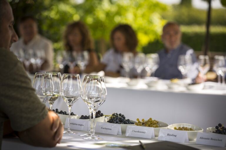 Llegan las experiencias de vendimia  en el Penedès con Familia Torres