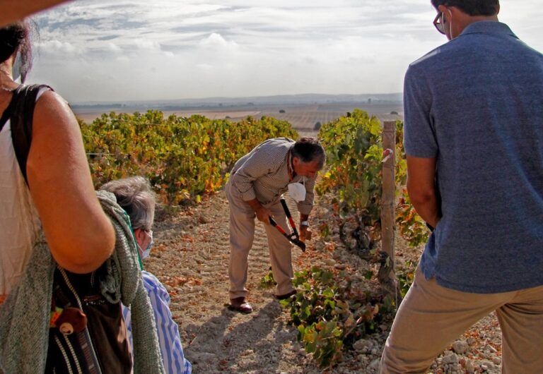 Sherrymaster by Tío Pepe cierra con éxito el regreso de su formato presencial