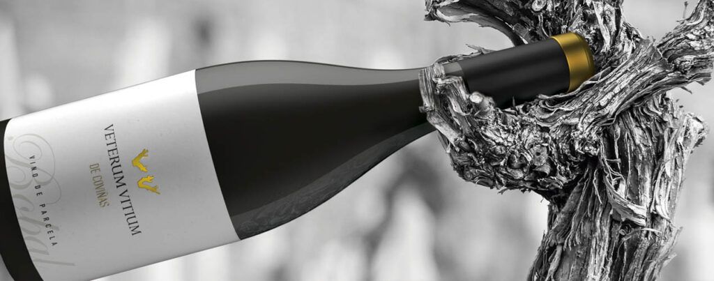 Las dos gamas principales de la bodega, Enterizo y Aula, siguen acumulando premios y reconocimientos