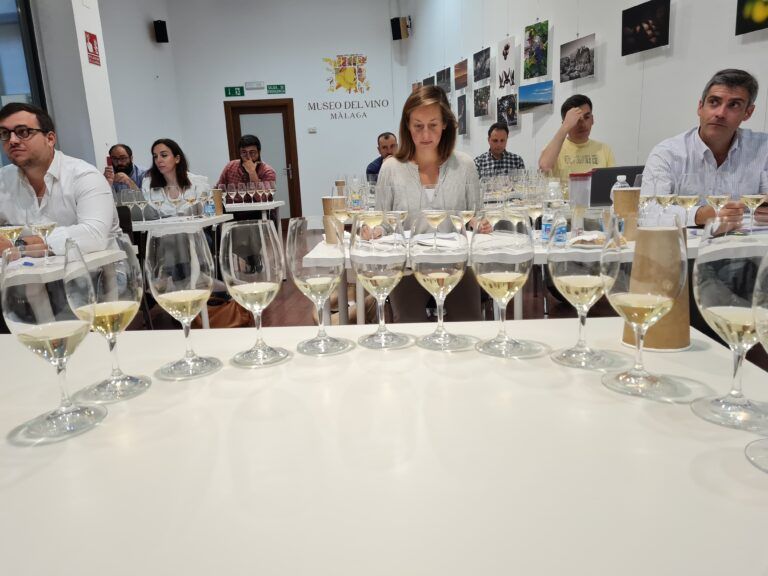 El Museo del Vino Málaga acoge un bootcamp para alumnos españoles del Institute of Masters of Wine.