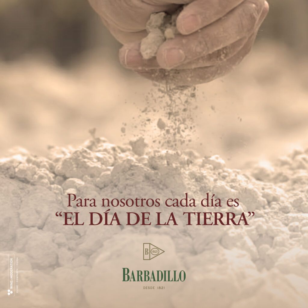 Barbadillo obtiene el certificado ‘Wineries for Climate Protection’, máxima distinción en materia de sostenibilidad medioambiental