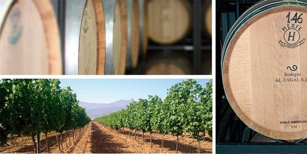 Bodegas Al Zagal