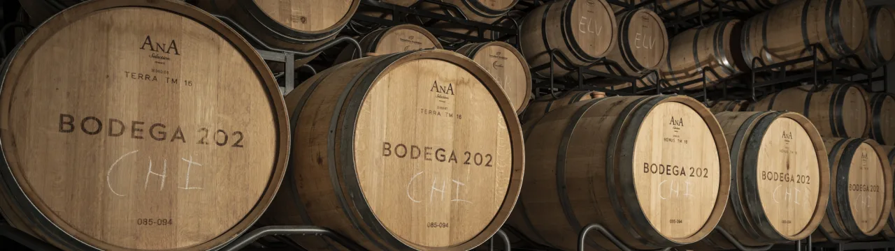Bodega_202-Bodega_202_Feb_21_LYZ4621-8583