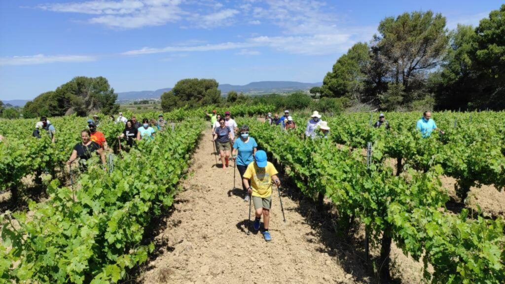 La Primavera del Cava, actividades todo el mes de mayo