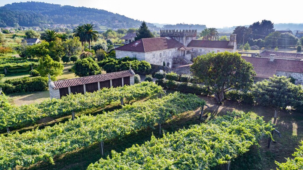 Familia Torres consolida su proyecto vitivinícola en Galicia con la compra de una nueva bodega