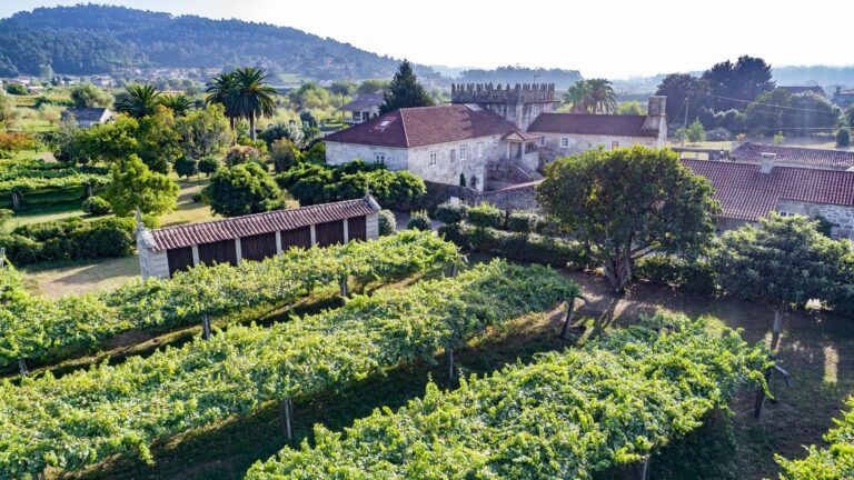 Familia Torres consolida su proyecto vitivinícola en Galicia con la compra de una nueva bodega