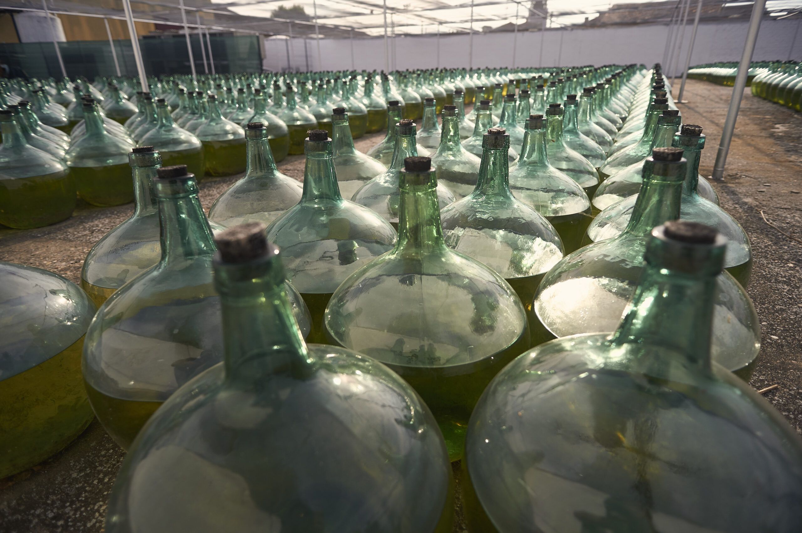 Vino y música, la nueva propuesta de Bodegas de Alberto