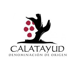 logoDOCalatayud