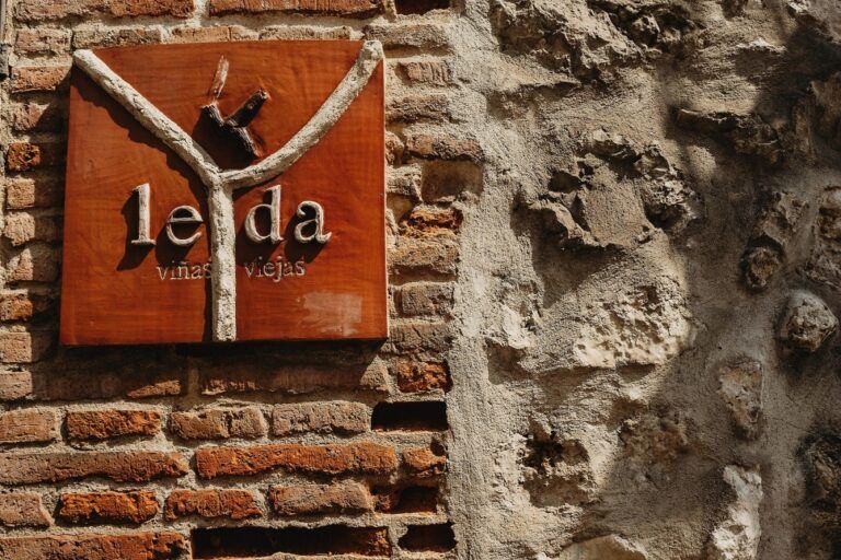 Bodega Leda lanza sus primeros vinos con certificado ecológico Bodega Leda lanza sus primeros vinos con certificado ecológico