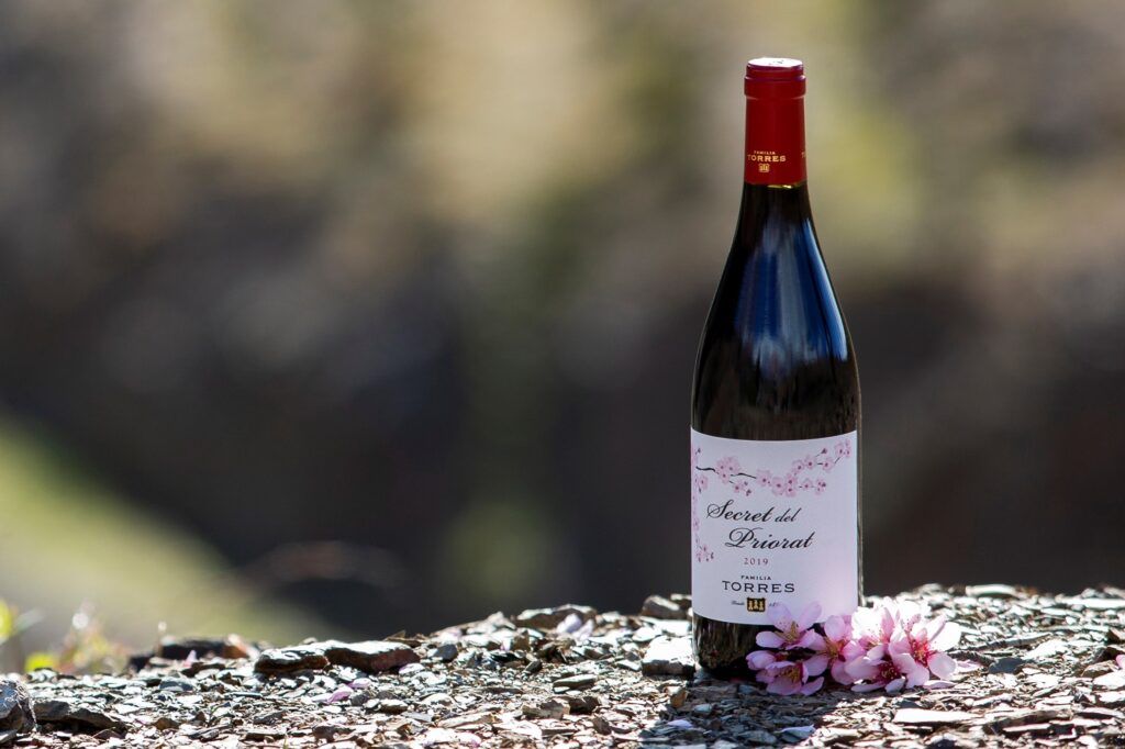 Secret del Priorat 2019 de Familia Torres, entre los mejores vinos del 2022 según Wine Enthusiast