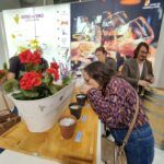 La Junta de Castilla y León concede 32.000 € a la Ruta del Vino Ribera del Duero