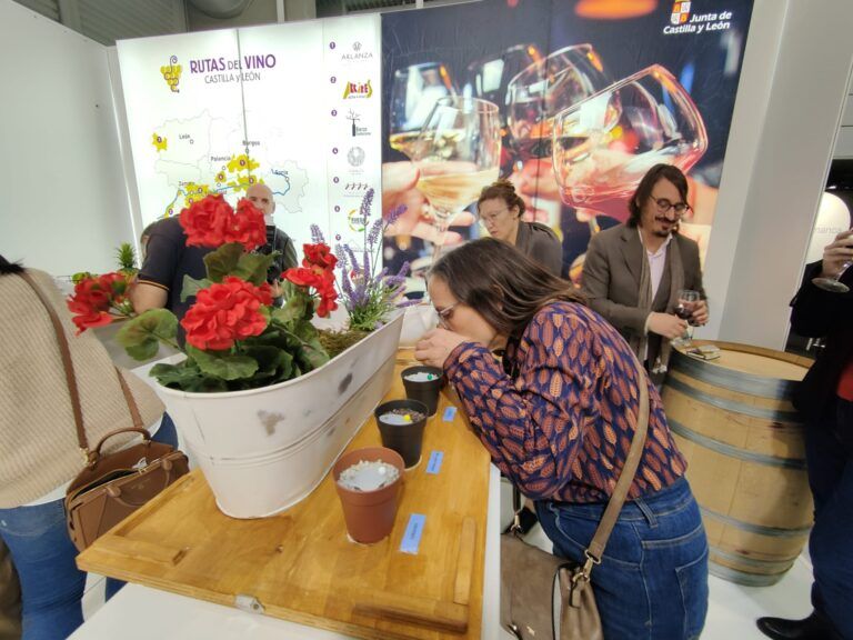 La Junta de Castilla y León concede 32.000 € a la Ruta del Vino Ribera del Duero