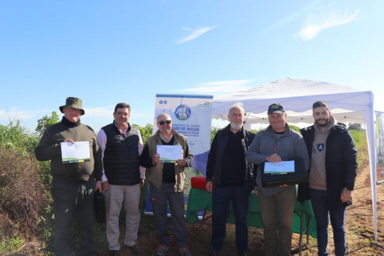 Buena acogida del I Concurso de poda de viñedos «Condado de Huelva»