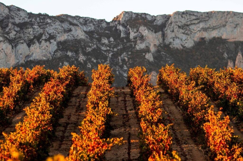 Rioja reforzó su posición de mercado en España y creció en países clave en 2022