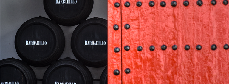 Bodega Barbadillo