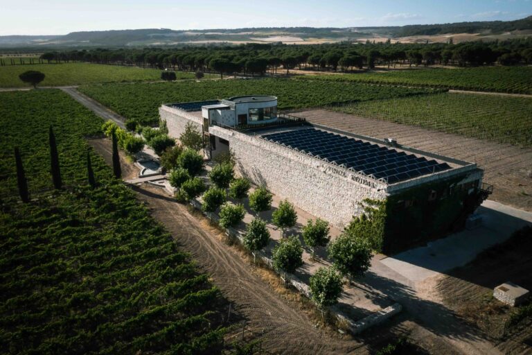 Gran Rodma 2021: un vino de lujo nacido para perdurar
