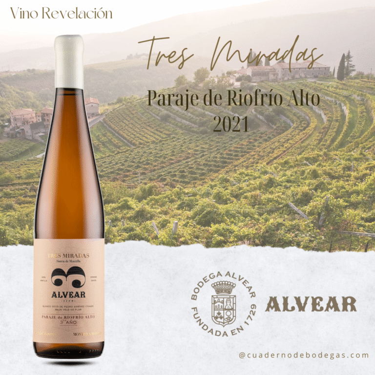 Tres Miradas Paraje de Riofrío Alto 2021: el blanco que conquista Discover Spain con 96 puntos y el título de Vino Revelación