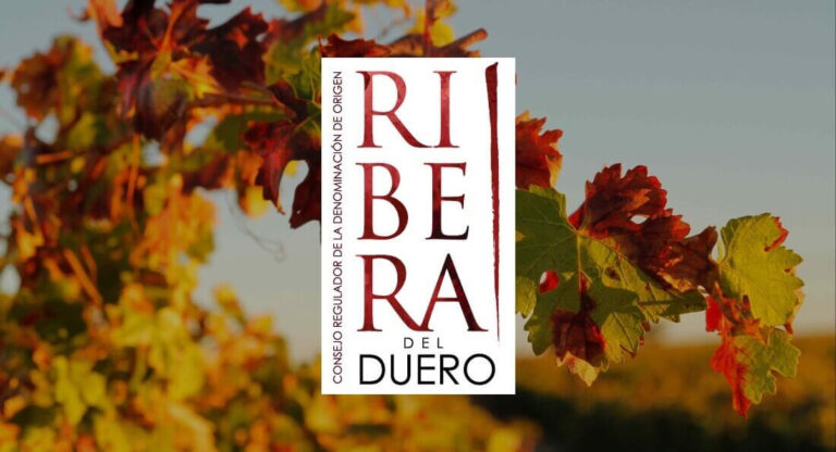 Ribera del Duero cierra 2025 con un crecimiento del 1,6% en ventas, acercándose a los 92,5 millones de botellas