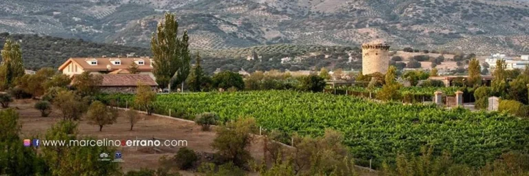 Bodega Marcelino Serrano