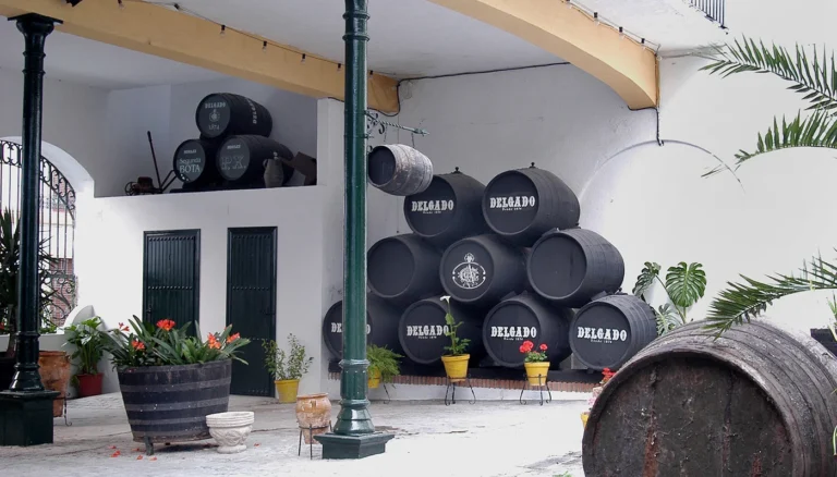 Bodegas Delgado