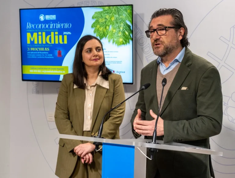 El consejo regulador Condado de Huelva convoca los «Reconocimientos Mildiu 2026» para fortalecer la vigilancia fitosanitaria del viñedo