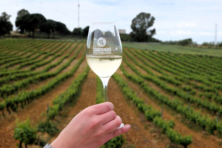 Los vinos del condado de Huelva crecen en reconocimiento en la guía peñin 2025: Cinco años de avance, identidad y futuro compartido