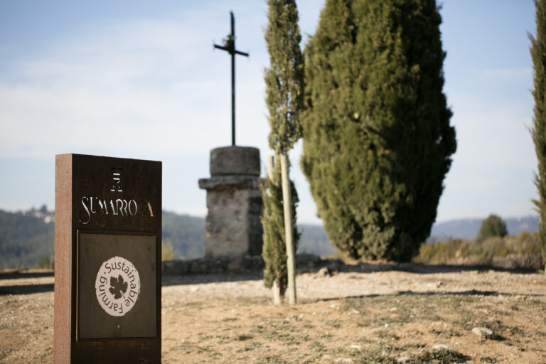 Sumarroca logra el reconocimiento de Cava de Paraje: Tres vinos de la gama Núria Claverol by Sumarroca reconocidos como «Cava de Paraje Calificado»