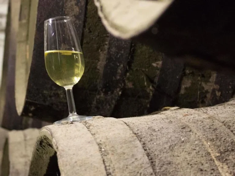 El Fino: mucho más que un vino, una joya enológica