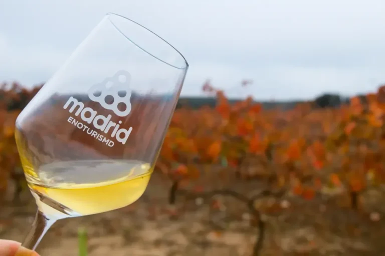 Seis Bacchus de Oro para Vinos de Madrid en su XXIV Edición