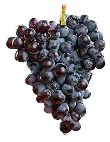 Garnacha Roja