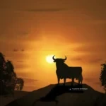 El toro de Osborne celebra 70 años: de valla publicitaria a referente cultural