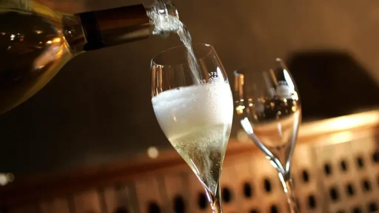 Desvelando los Secretos del Cava, Corpinnat, Jerez y Montilla-Moriles Desvelando los Secretos del Cava, Corpinnat, Jerez y Montilla-Moriles