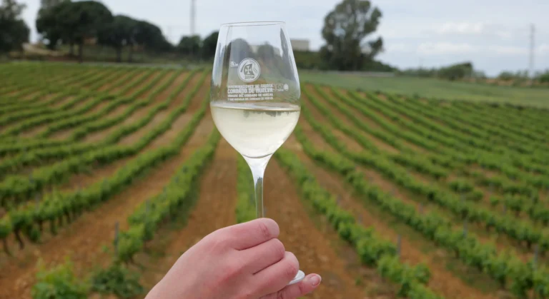5 Bodegas del Condado de Huelva que debes visitar