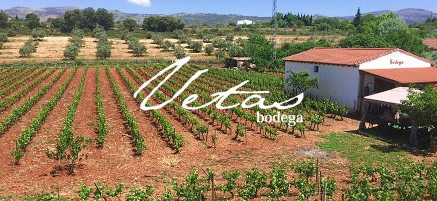 Vetas